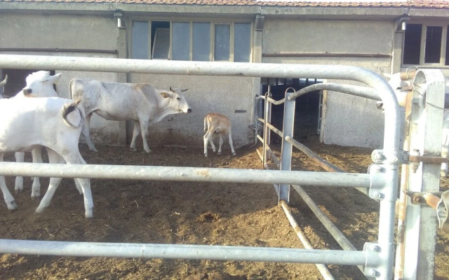 Agriturismo I Greppioli