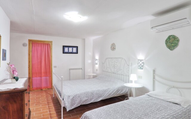 Garofano Sughera in Sughera