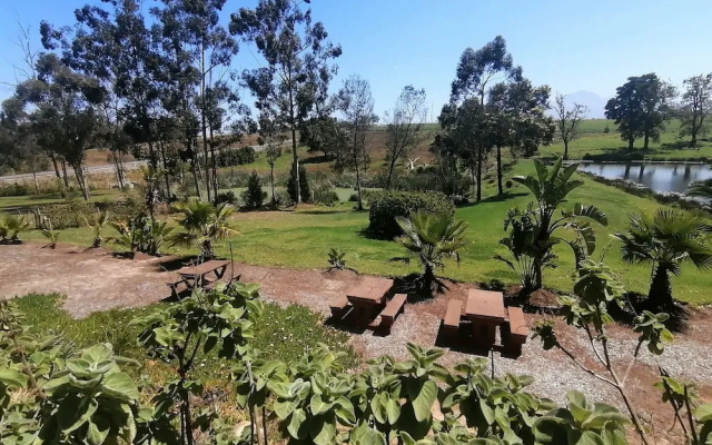 Ibis Place Guest House