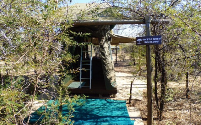 Thorn Tree Bush Camp