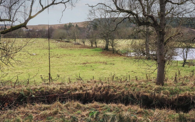 Woodland