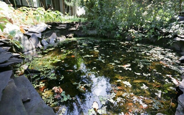 Goesan Romi House Pension