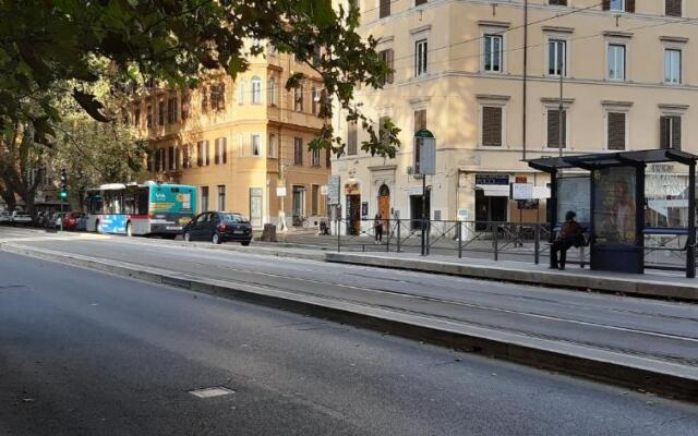 andri.trastevere