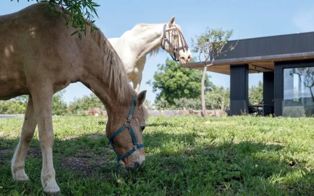 Scorzamara Country Lodges