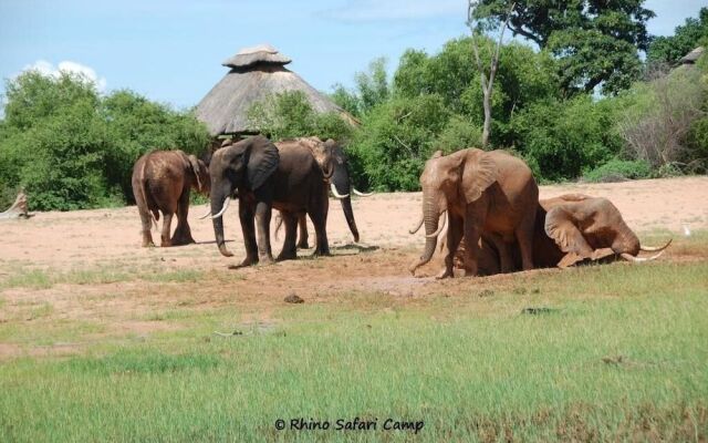 Rhino Safari Camp