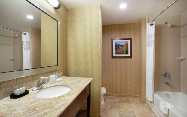 Hampton Inn & Suites Denver/South-RidgeGate