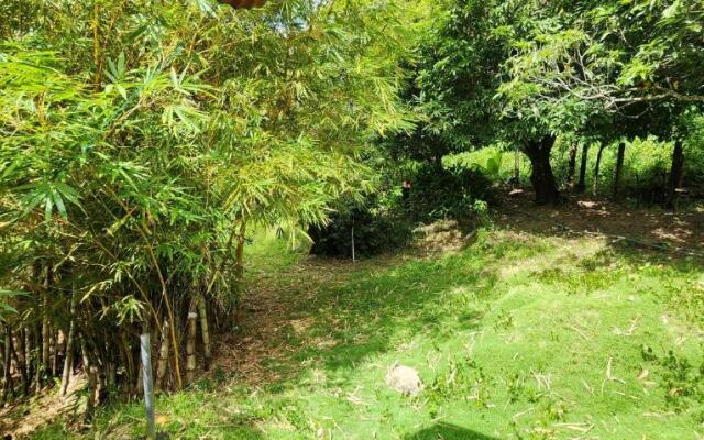 Hostel Finca La Gordita