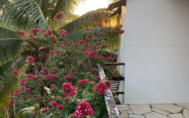 Mahina Apartment - Elegantly tropical