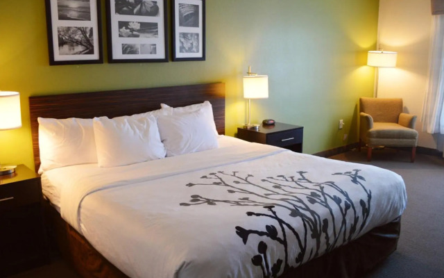 Sleep Inn & Suites Virginia Horse Center