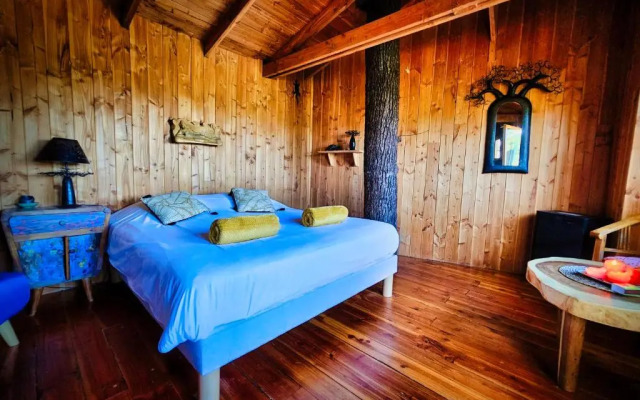 Hetre Sous Le Charme