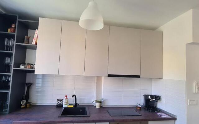 Ioana Apartment Resita