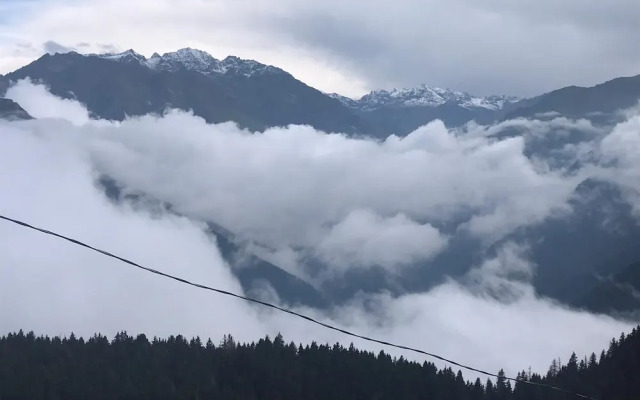 Pokut Orion