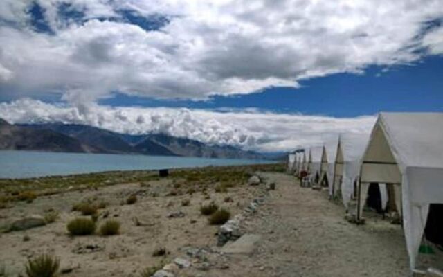 Pangong Paradise