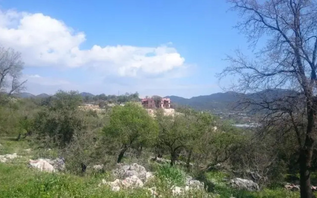 Apollonia Lodge
