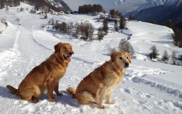 Engadin Holidays ch - Chasa 32 in Guarda