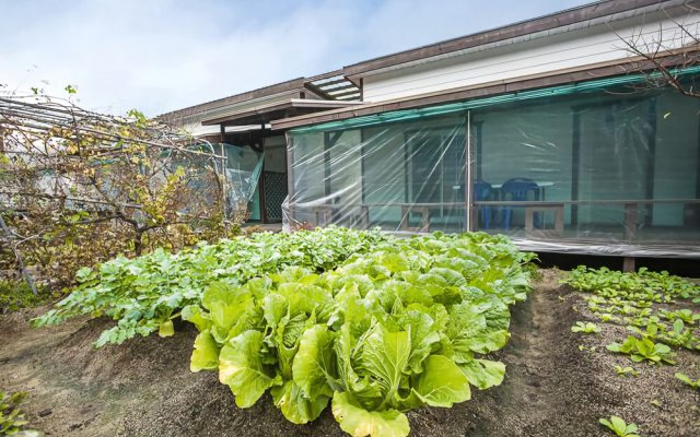 Gyeongju Lohas Daenamu Pension