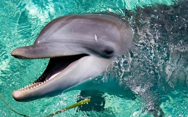 Sunset Villas 12D 2 Bedroom Condo By Redawning