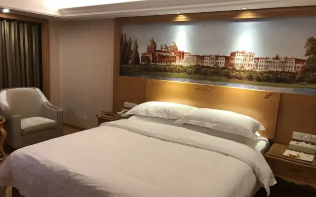 Vienna International Hotel (Changsha Hongxing Desiqin Plaza)