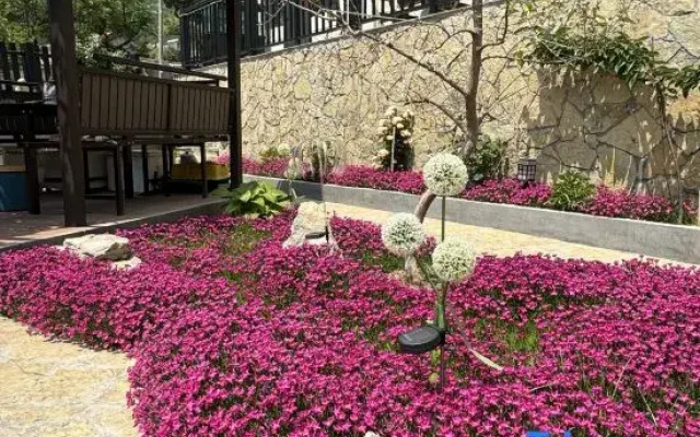 Floral Hotel · Taishan Oak Wei Hotel (Hongmen Mountain Entrance ）