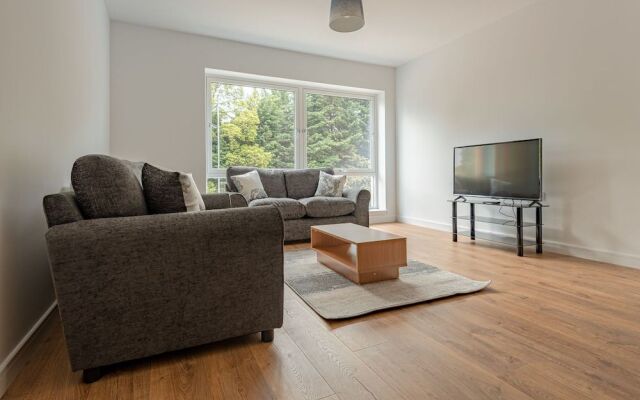 Spacious Modern Apartment