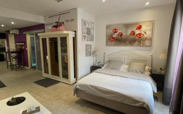 Appart' Spa et Sauna Privatif Au Cœur De Beaune