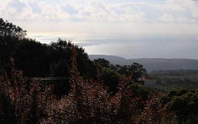 A House in The Woods