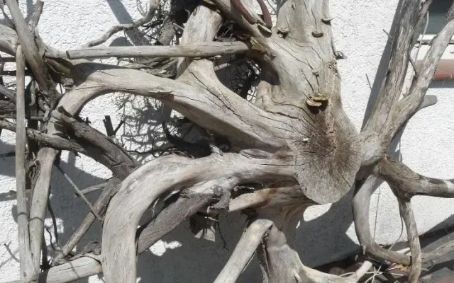 Hostel Pod Modrzewiem