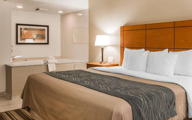 Comfort Inn Metro Airport