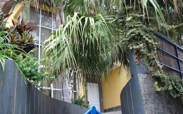 Sofias Place