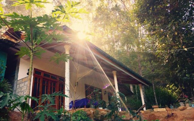 Secret Nest Homestay