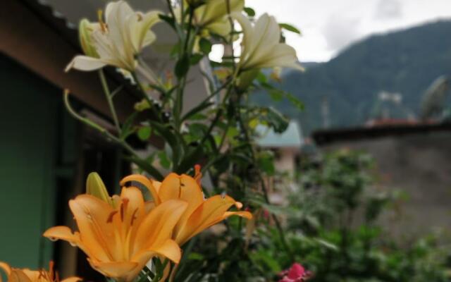New Manali Villa