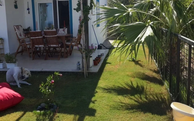 BO062 by Villaofsummer