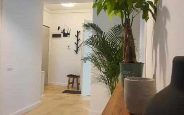 Mirage Sunset Mamaia Apartment D1