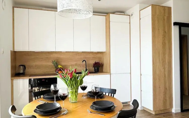 Luxury Apartment on Drewnowska Street