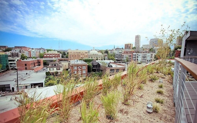 Pike & Pine Downtown Luxury Suites by Nspire