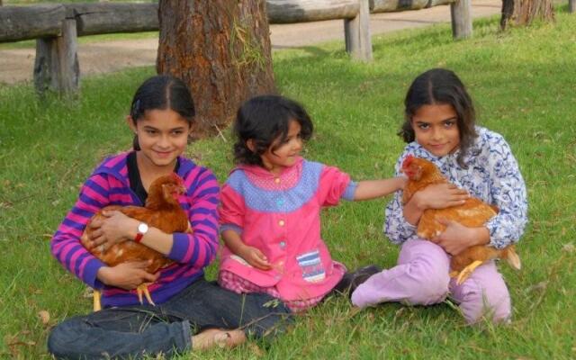 The Tops Organic Retreat