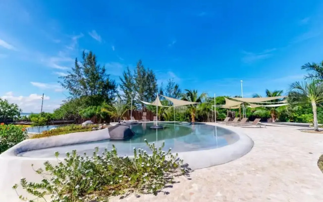 Turtle Studio in Placencia Village