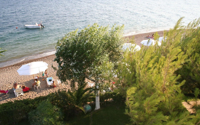 Posidonia Pension
