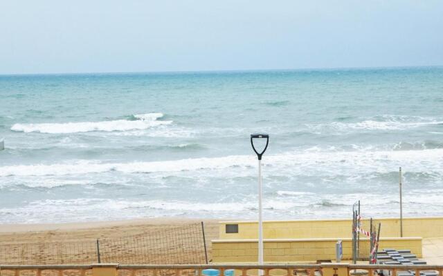 Gandia Bellreguard 3000