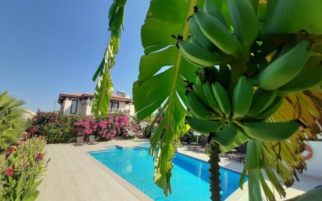 Beautiful 4-bed Villa Private Pools
