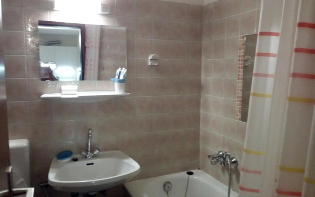 Panoramis apartment in Schladming