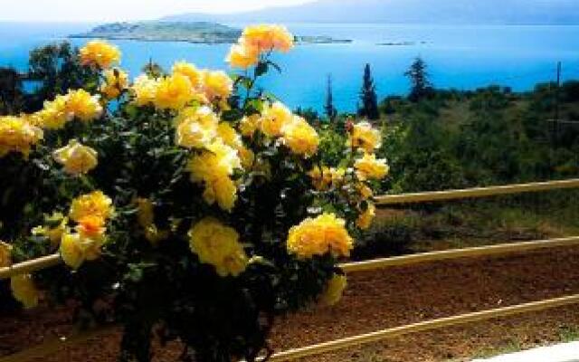 Marathi Panorama Rooms