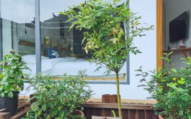 Yunxi Bieyuan Guesthouse