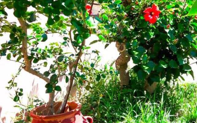 Yucca Studio, beautiful apartment with garden
