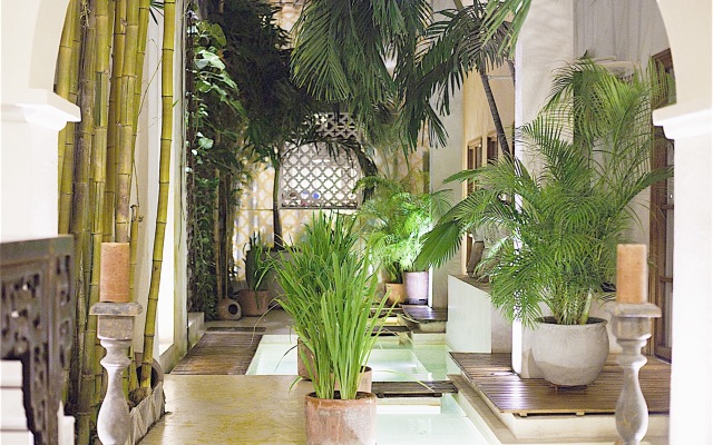Hotel Casa Lola Deluxe Gallery