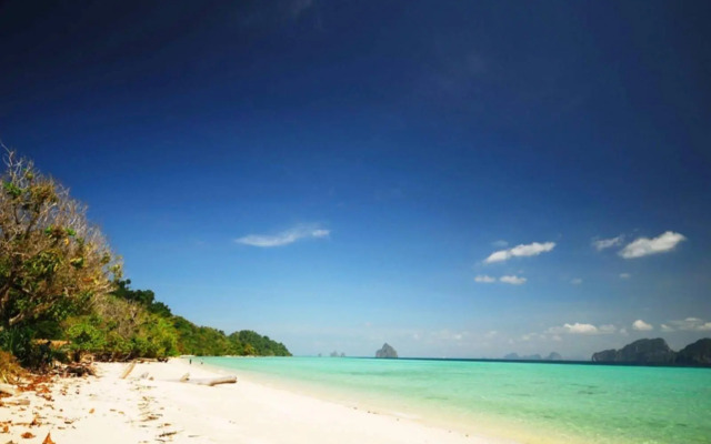 Reef Resort