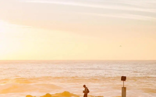 Albatross Guest House