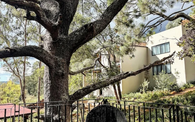 Serenzzo Hotel & Cuisine