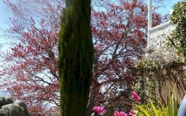 Hazel House Boutique Bed & Breakfast