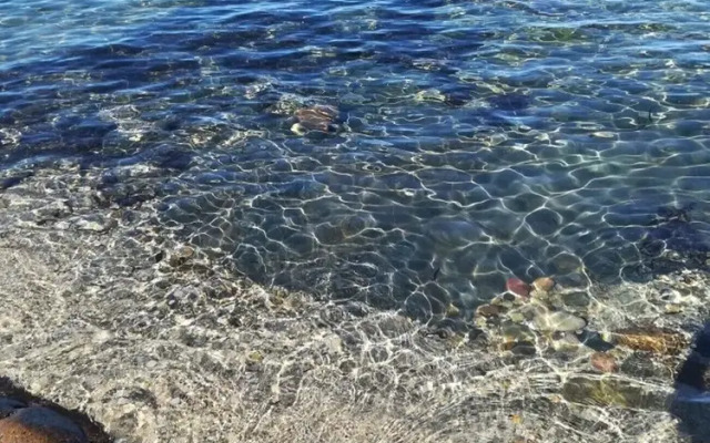 Affittimoderni Viddalba Bouganville